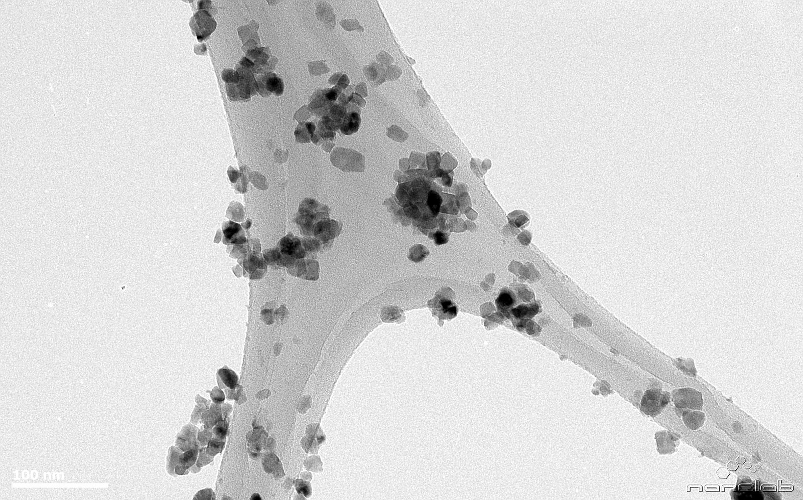 Transmission electron micrograph of nanocrystal clusters branching along a lacy carbon web