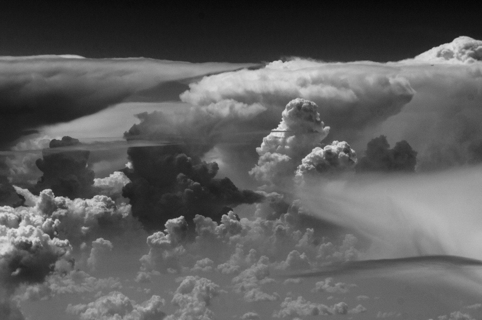 Monochrome field of towering cumulus clouds