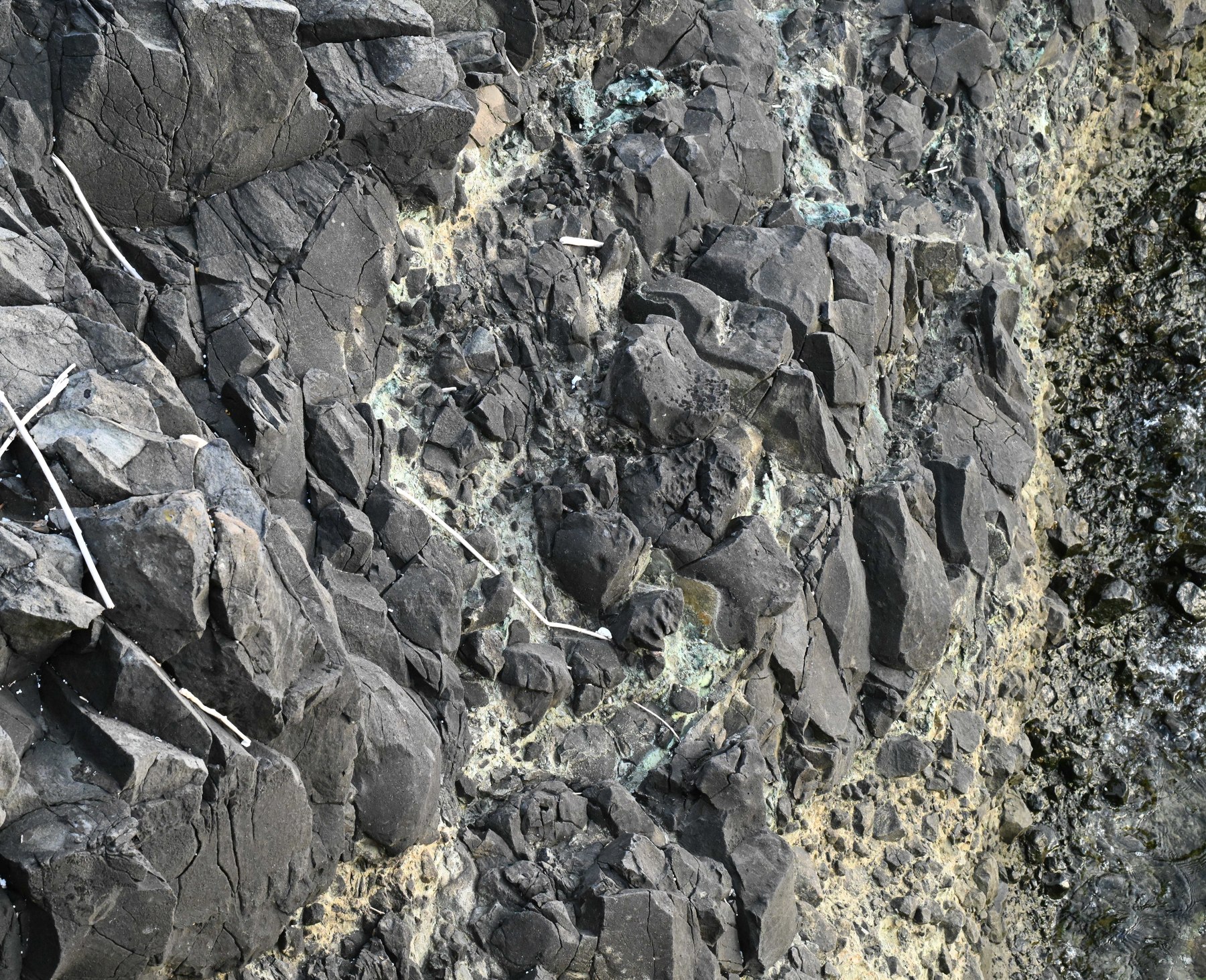 Fractured dark coastal rock with pale mineral veins, Sinop