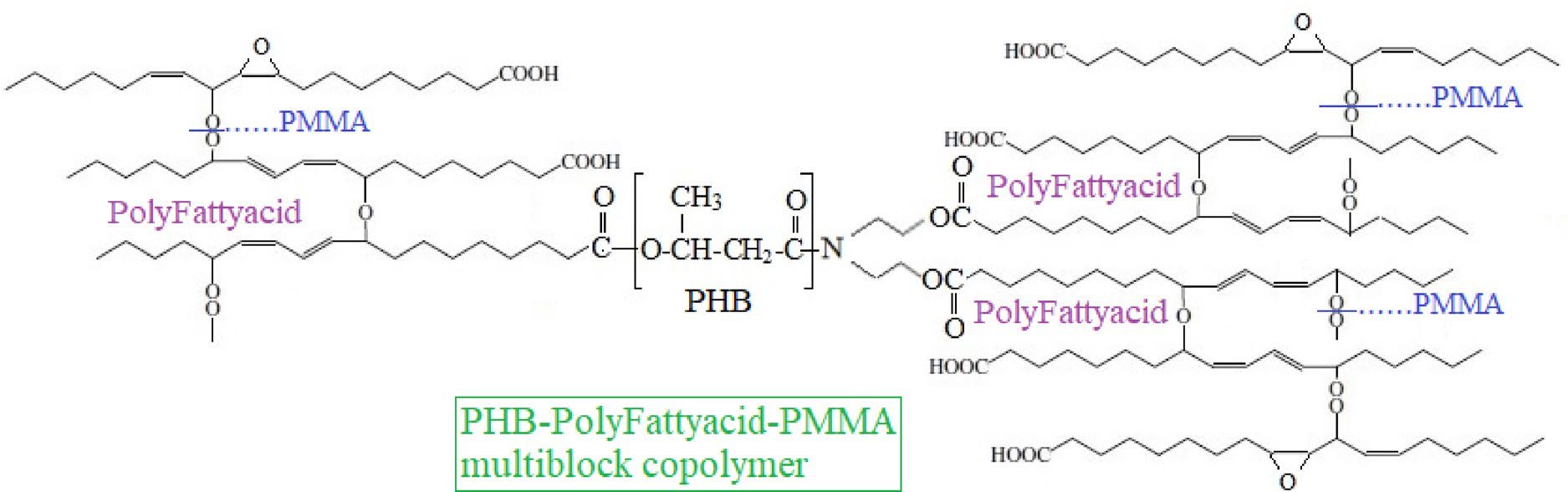 Expected branched PHB–poly(fatty acid)–PMMA multiblock copolymer architecture, showing PHB connected to poly(fatty acid) segments and PMMA branches.