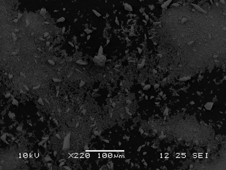 Scanning electron micrograph showing clustered zirconia powder particles and interparticle voids; scale bar 100 micrometers