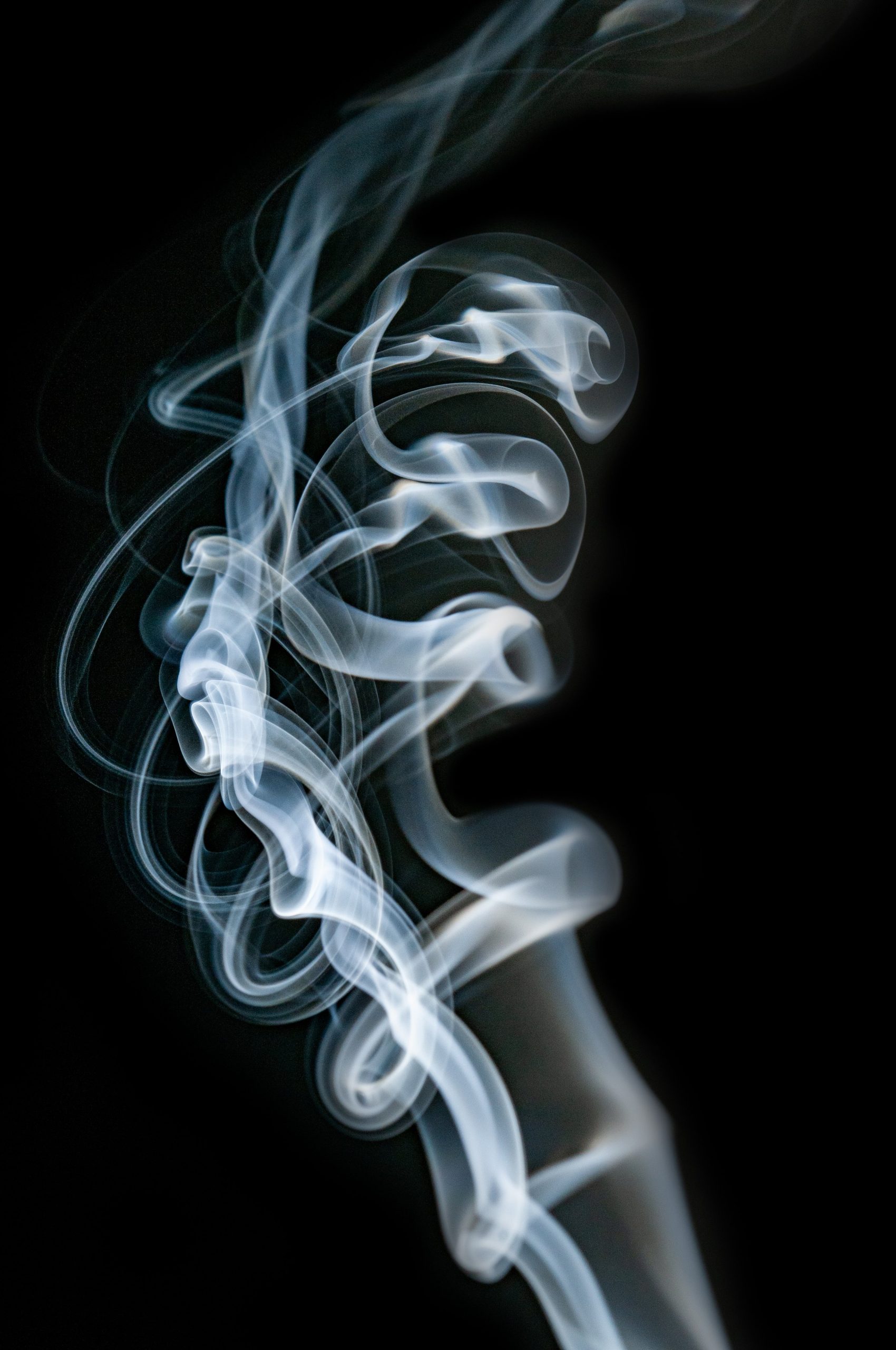 Dense sculptural smoke plume rising against black